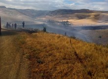 250 dönüm alan yandı