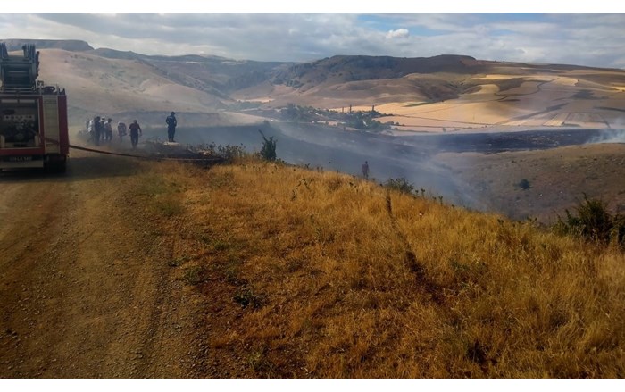 250 dönüm alan yandı