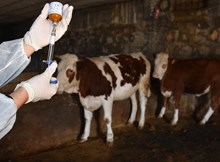 28 köy karantinaya alındı