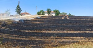 Alaca’da anız yangını