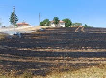 Alaca’da anız yangını