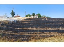 Alaca’da anız yangını