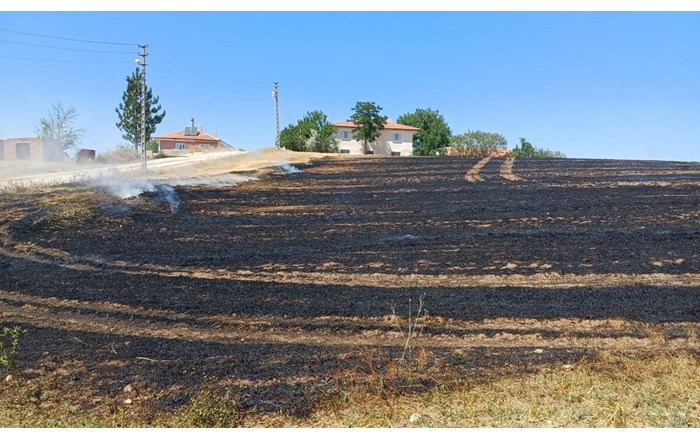 Alaca’da anız yangını