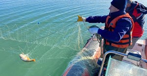 Barajda hayalet ağ çıktı
