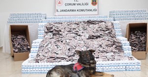 Çorum jandarmasından zehir tacirlerine dev darbe