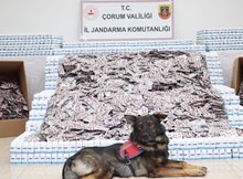 Çorum jandarmasından zehir tacirlerine dev darbe