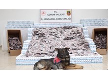 Çorum jandarmasından zehir tacirlerine dev darbe