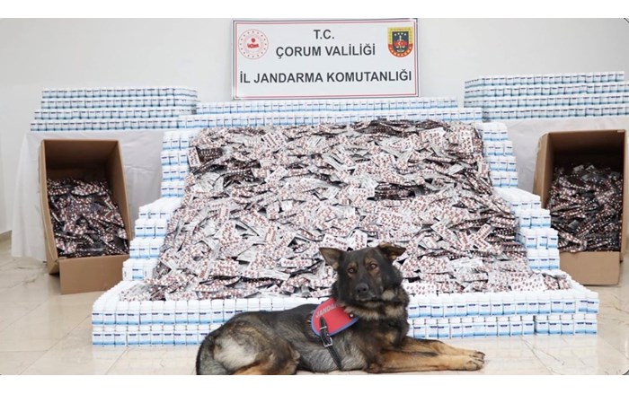 Çorum jandarmasından zehir tacirlerine dev darbe