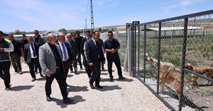 Çorum’da sokak hayvanlarına güvenli yuva