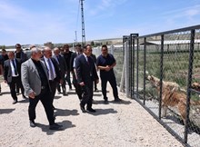 Çorum’da sokak hayvanlarına güvenli yuva