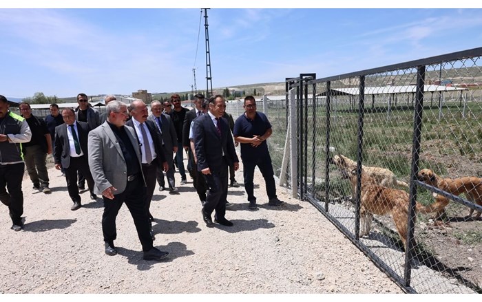 Çorum’da sokak hayvanlarına güvenli yuva