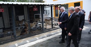 Çorum’un sokak hayvanları projesi taktirle karşılanıyor