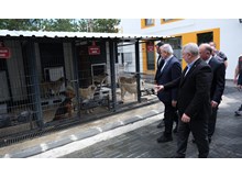 Çorum’un sokak hayvanları projesi taktirle karşılanıyor