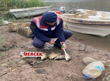 Jandarma, kaçak avcılara göz açtırmadı