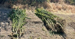 Jandarmadan yasaklı madde operasyonu: 2 tutuklama