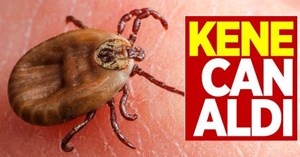 Keneye dikkat! 1 kişi hayatını kaybetti