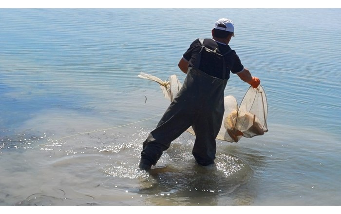Koçhisar Barajı'nda hayalet ağlar toplandı