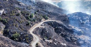 Orman yangını kontrol altına alındı