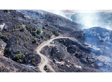 Orman yangını kontrol altına alındı