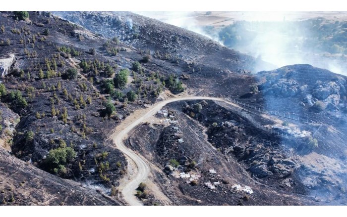 Orman yangını kontrol altına alındı