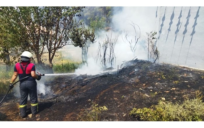 Ormanlık alandaki yangın, büyümeden söndürüldü