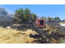 Otluk alanda yangın, evlere sıçramasını itfaiye önledi