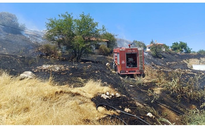 Otluk alanda yangın, evlere sıçramasını itfaiye önledi