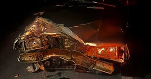 Otomobilin çarptığı domuz telef oldu