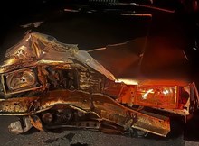 Otomobilin çarptığı domuz telef oldu