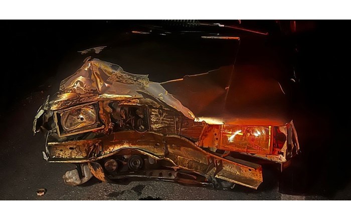 Otomobilin çarptığı domuz telef oldu