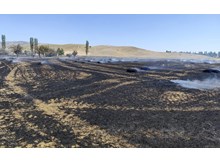 Saman balyaları küle döndü