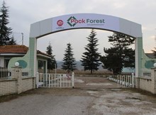 Sungurlu’ya ahşap palet ve ambalaj üretim tesisi