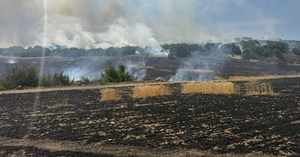 Tarla yangını, ormana sıçramadan söndürüldü