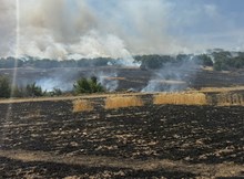 Tarla yangını, ormana sıçramadan söndürüldü
