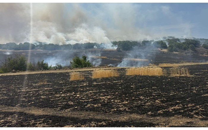 Tarla yangını, ormana sıçramadan söndürüldü