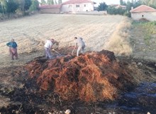 Tarlada çıkan yangında 300 adet balya kül oldu