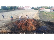 Tarlada çıkan yangında 300 adet balya kül oldu