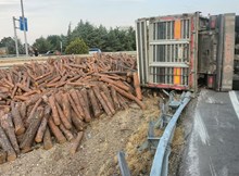 Tomruk yüklü tır devrildi: 1 yaralı