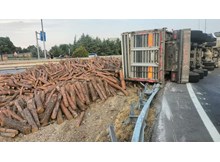 Tomruk yüklü tır devrildi: 1 yaralı