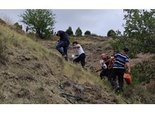 Traktörün altında kalan sürücü hayatını kaybetti