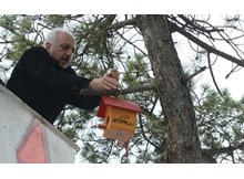 Başkan Gül'den ağaçlara kuş yuvası...