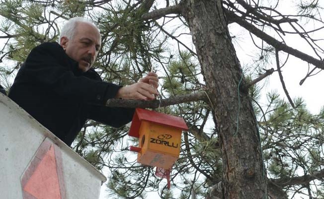Başkan Gül'den ağaçlara kuş yuvası...