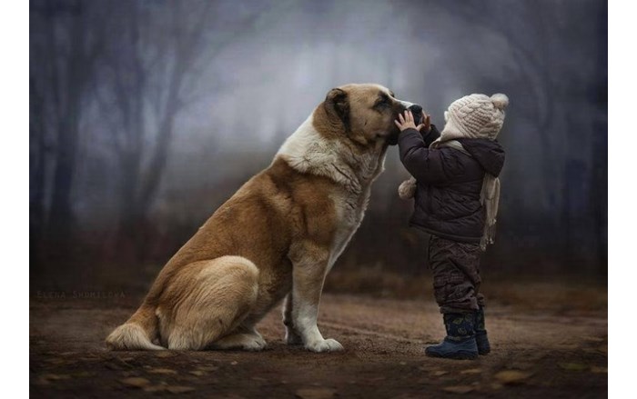 çocuk ve köpek