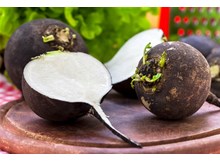 Turp yiyen turp gibi oluyor