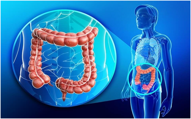 53022095_2104664466254783_3680444401785503744_n