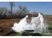 Sinek mücadelesi başladı