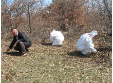 Süne sürvey çalışmaları başladı