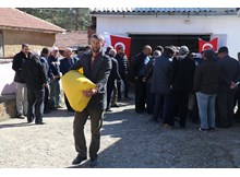 Çiftçilere yem bitkisi tohumu dağıtıldı