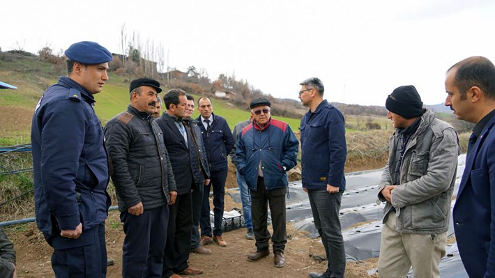 çilek-(14)