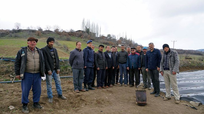 çilek-(18)